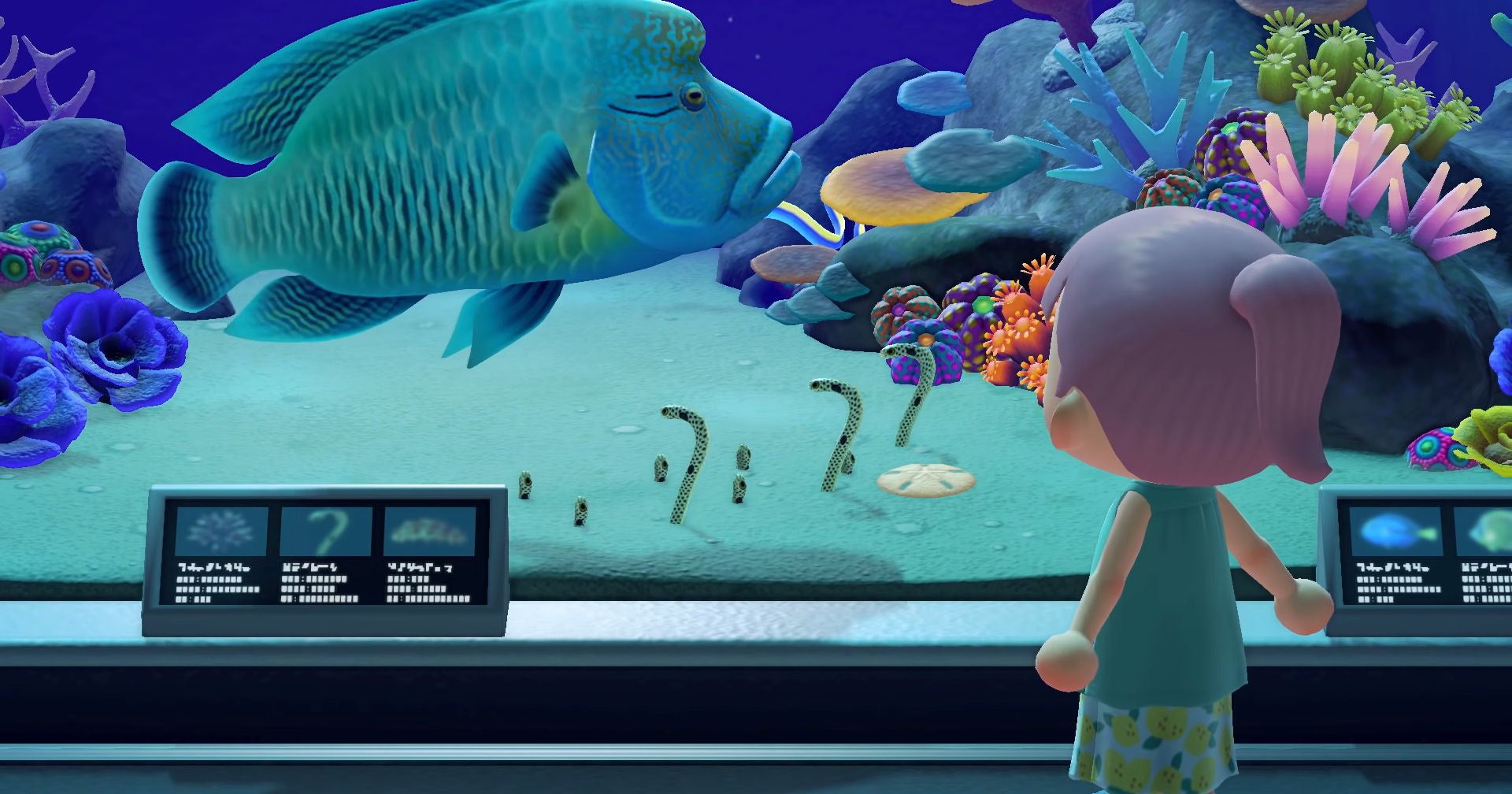 Animal Crossing Sea Creature list All sea creature prices, times and